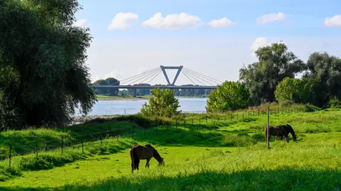 Meerbusch